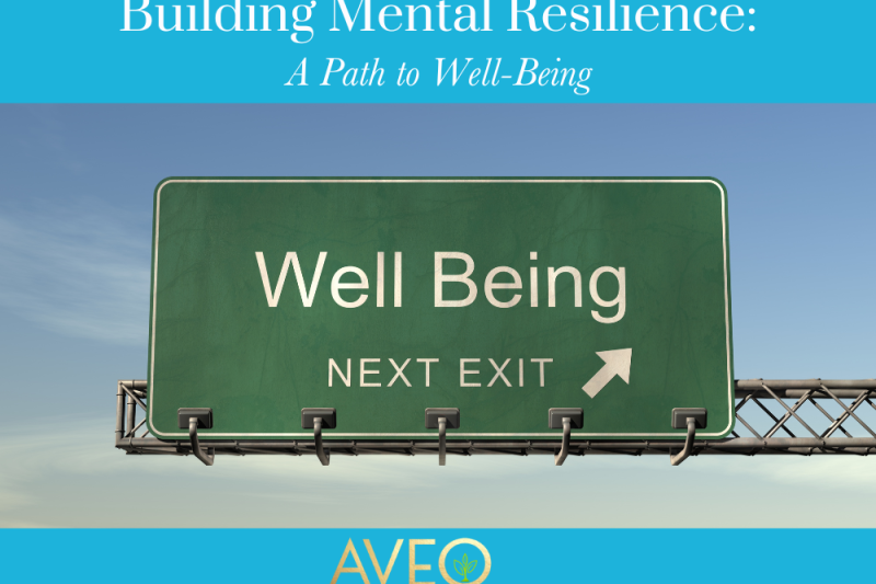 Building Mental Resilience A Path to Well-Being
